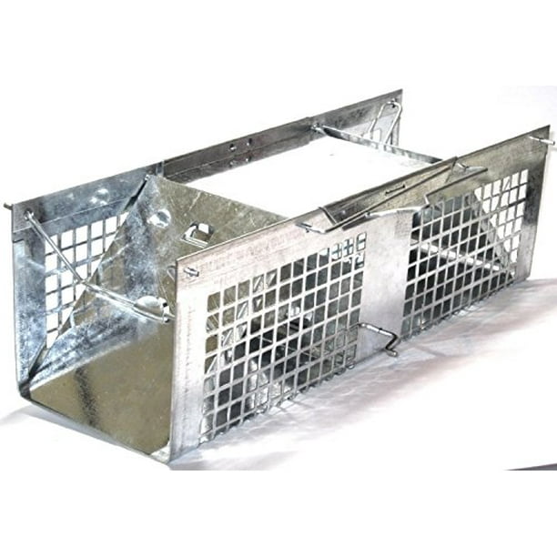 Live Animal Humane Trap 2-Door Mouse Cage Trap For Chipmunk Rats Squirrels Voles Live Animal Humane Trap 2-Door Mouse Cage Trap For Chipmunk Rats Squirrels Voles